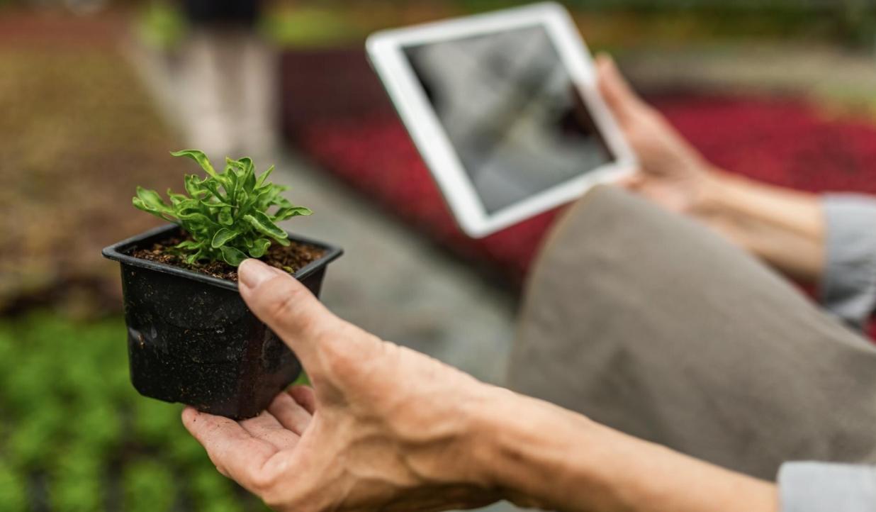 دستگاه پایش شرایط محیطی (گلخانه – مرغداری - ...)